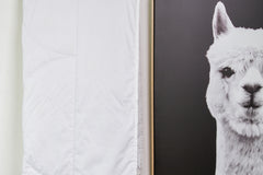 Alpaca Summer Weight Comforter - New Zealand Made