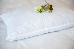 Adjustable 100% Alpaca Pillow - New Zealand Made