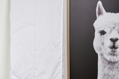 Alpaca Summer Weight Comforter - New Zealand Made
