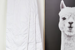 Alpaca Winter Weight Comforter - New Zealand Made